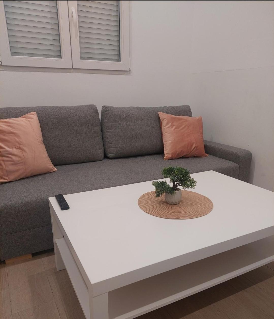 Cactus22 Leilighet Alicante Eksteriør bilde